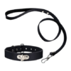 COLLAR Y CORREA - Image 3