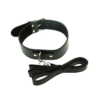 COLLAR Y CORREA