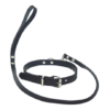COLLAR Y CORREA - Image 2